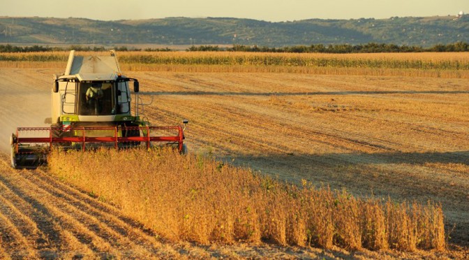 Informe de Coyuntura: La contribucin de la agroindustria a la recuperacin de la economa en 2017