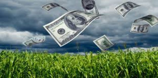La invasión de Rusia a Ucrania valoriza las exportaciones agroindustriales, pero encarece las importaciones de insumos críticos, ¿cerrará el número?