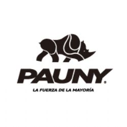 PAUNY SA