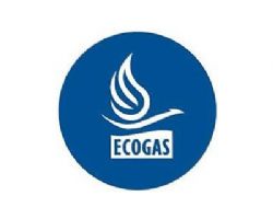 DISTRIBUIDORA DE GAS CUYANA S.A.
